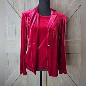 Vintage Notations Velvet Blouse sz Medium